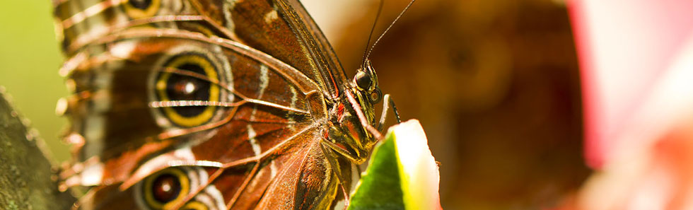 无毒无害健康的手机号压测工具
